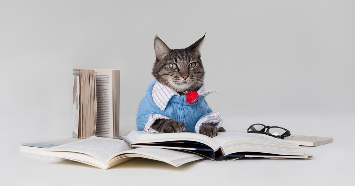 6 Smart Ways to Get Quality Backlinks for SEO