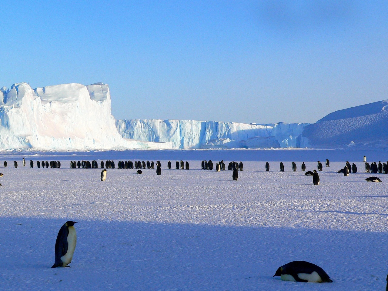 What Does Penguin 4.0 Mean For Your SEO?