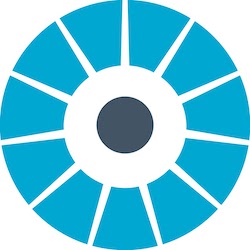 Alibi Security logo