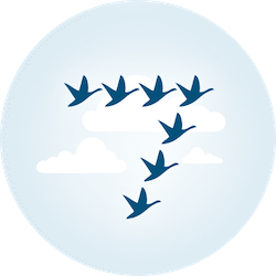 7Geese logo