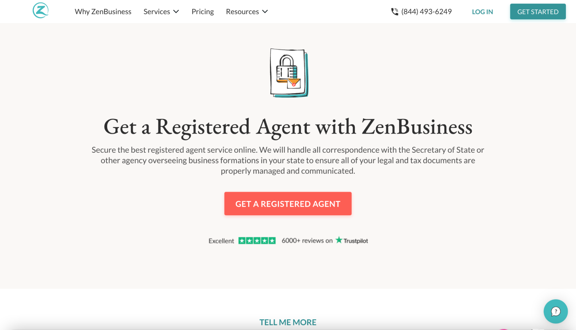 zenbusiness pro plan
