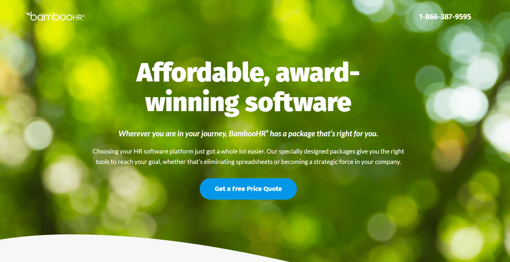 BambooHR Review The Good and Bad for 2024